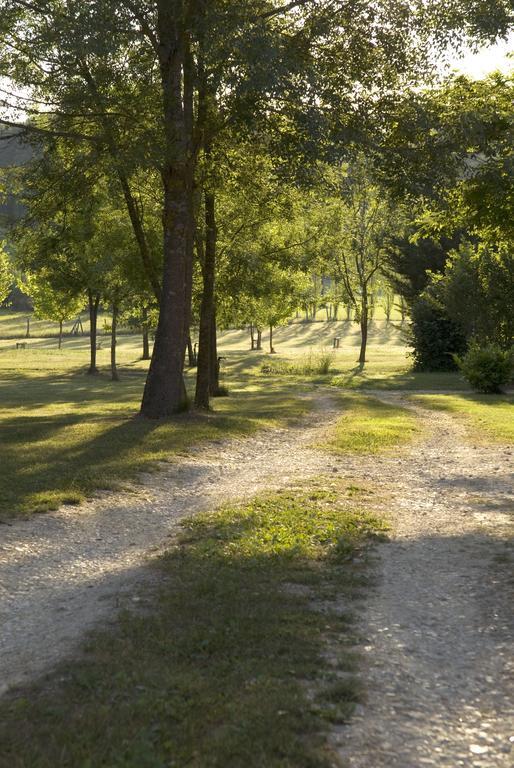 Les Chalets De Grazimis Condom Oda fotoğraf